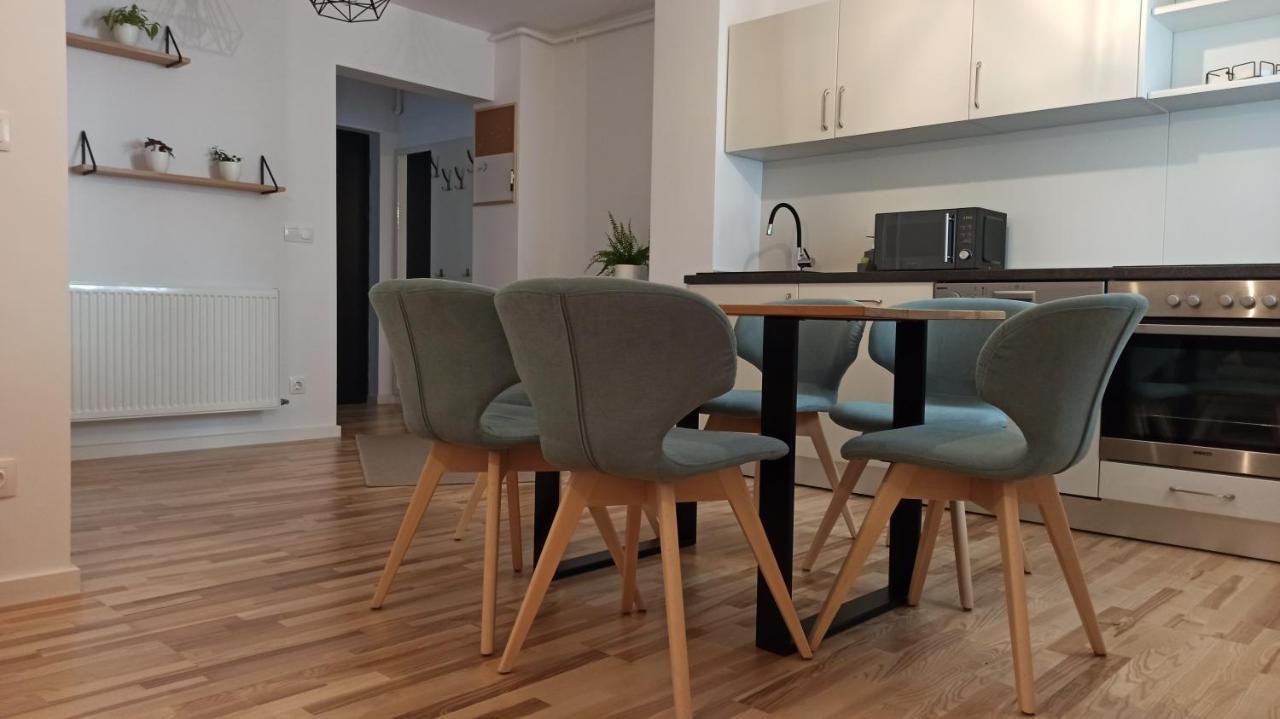 Chrysanthemum Apartman Segesvár Kültér fotó