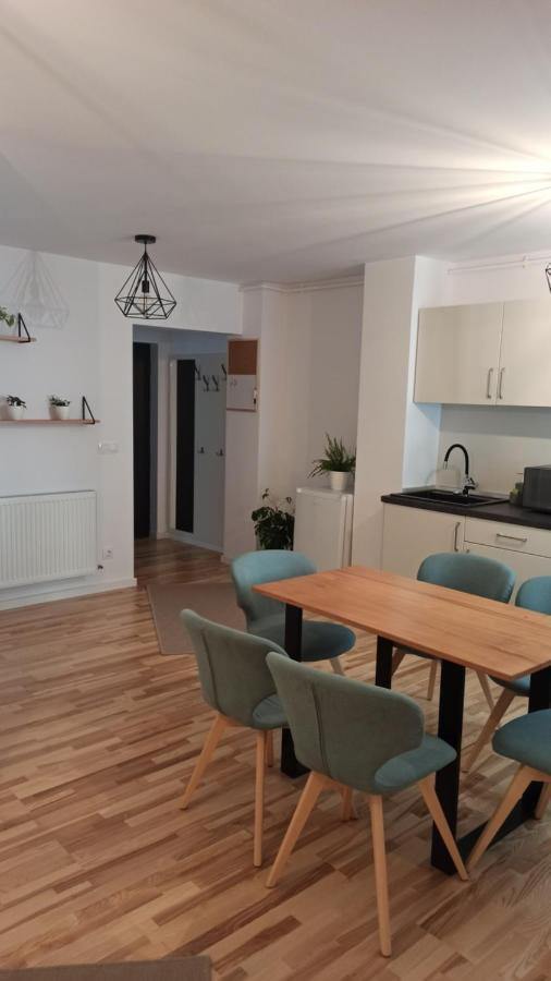 Chrysanthemum Apartman Segesvár Kültér fotó