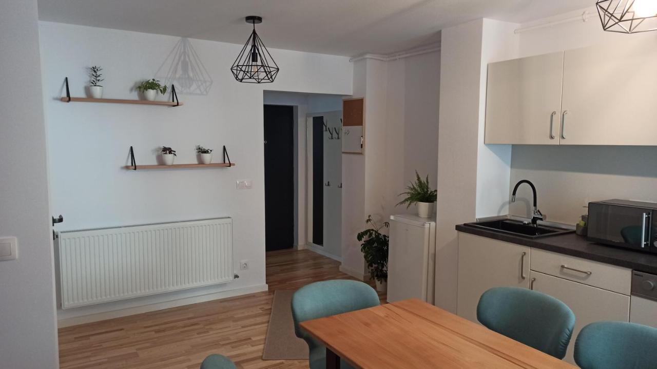Chrysanthemum Apartman Segesvár Kültér fotó