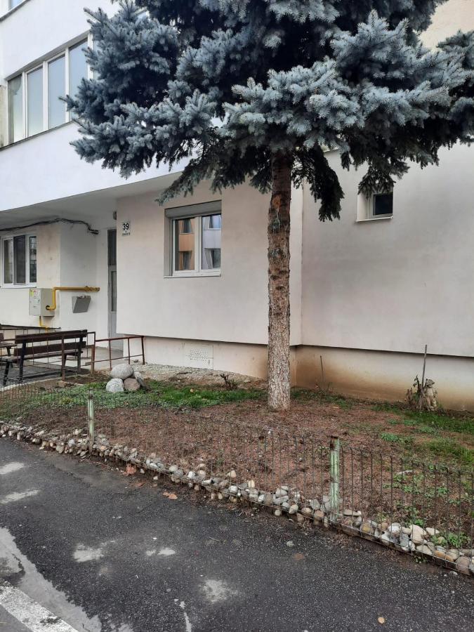 Chrysanthemum Apartman Segesvár Kültér fotó
