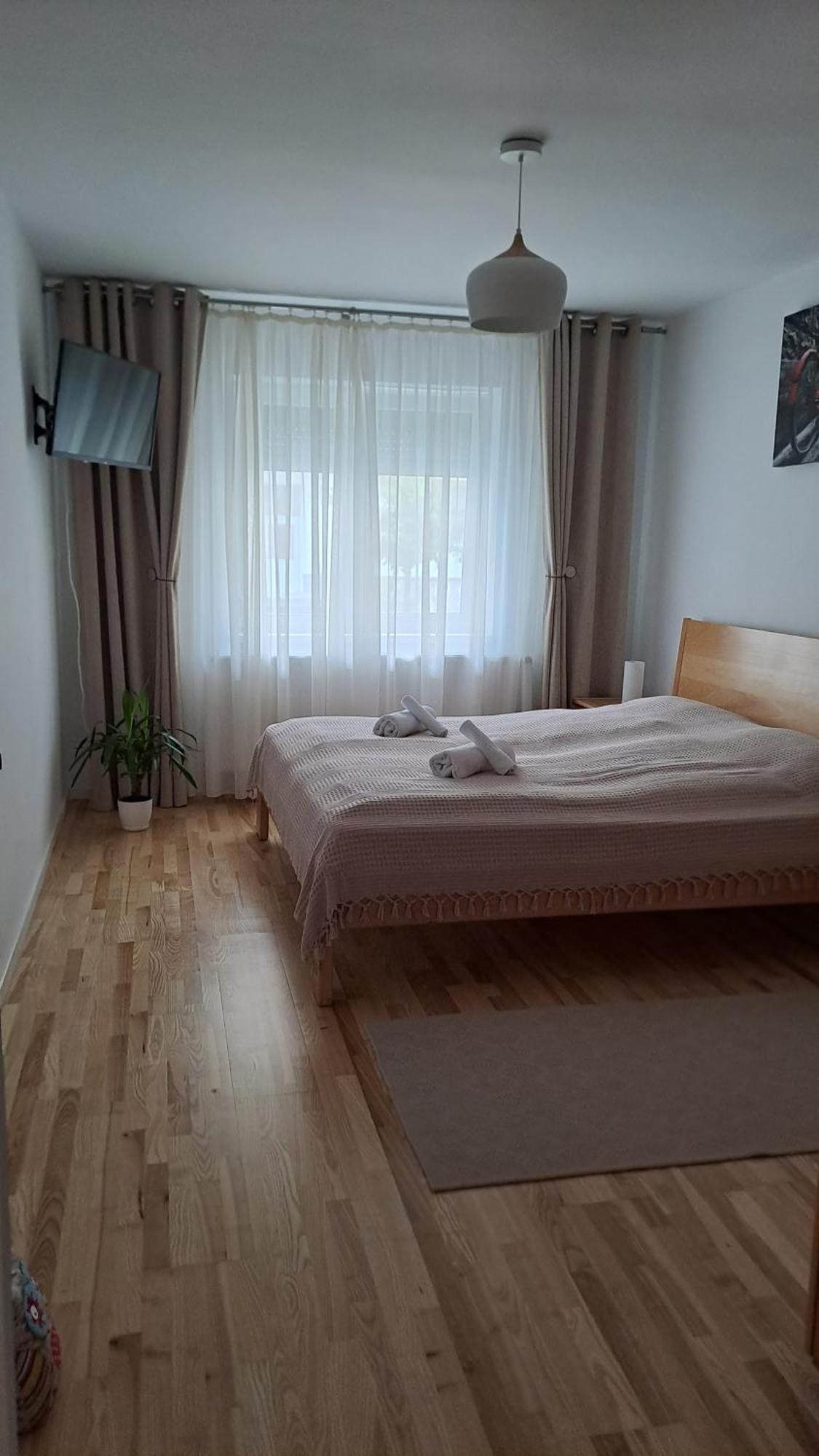 Chrysanthemum Apartman Segesvár Kültér fotó