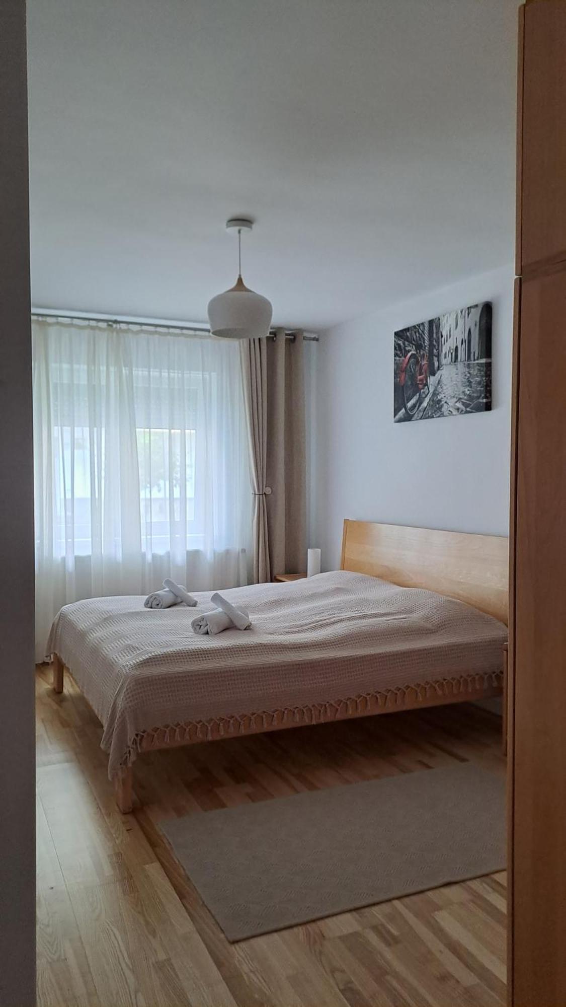 Chrysanthemum Apartman Segesvár Kültér fotó