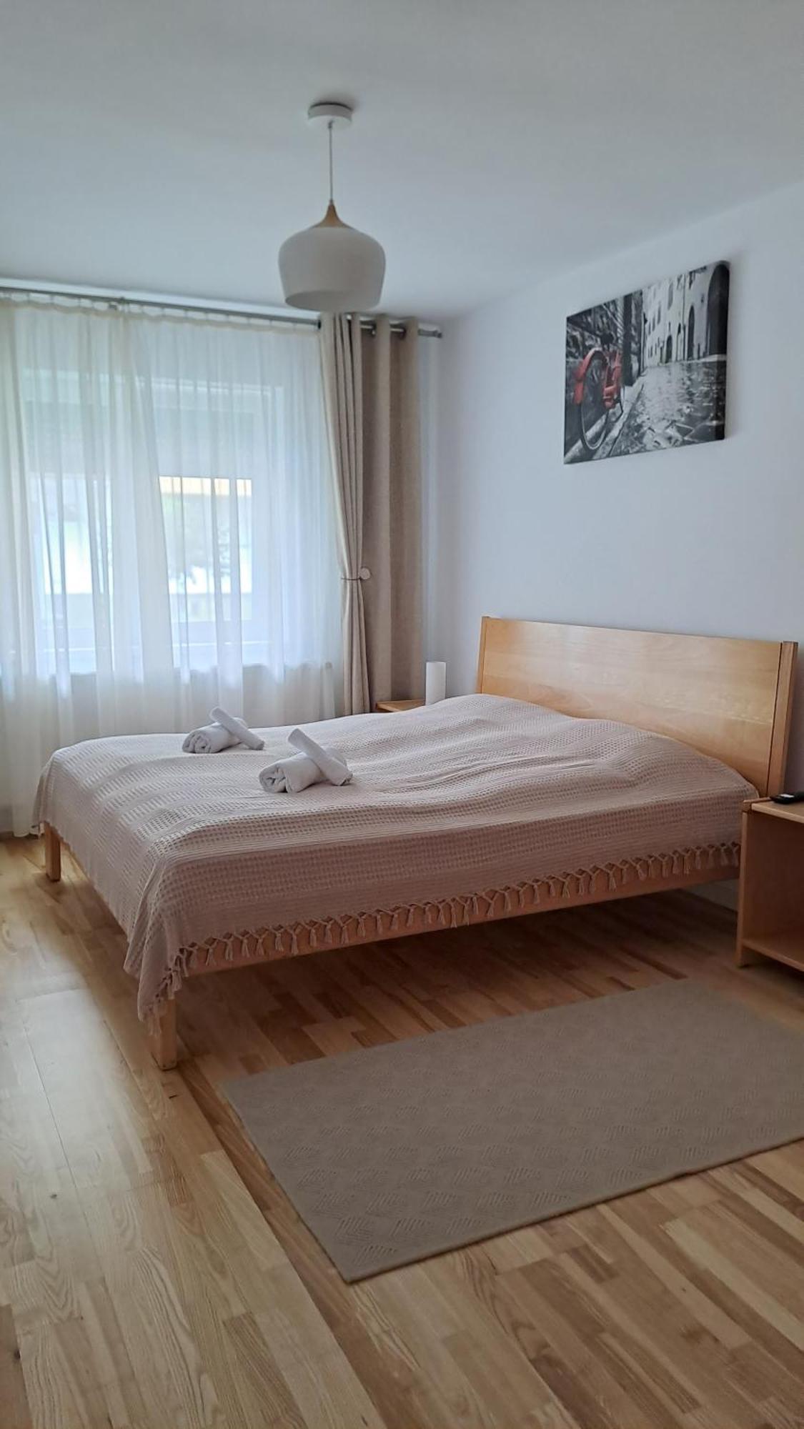 Chrysanthemum Apartman Segesvár Kültér fotó